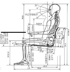 人体工学椅